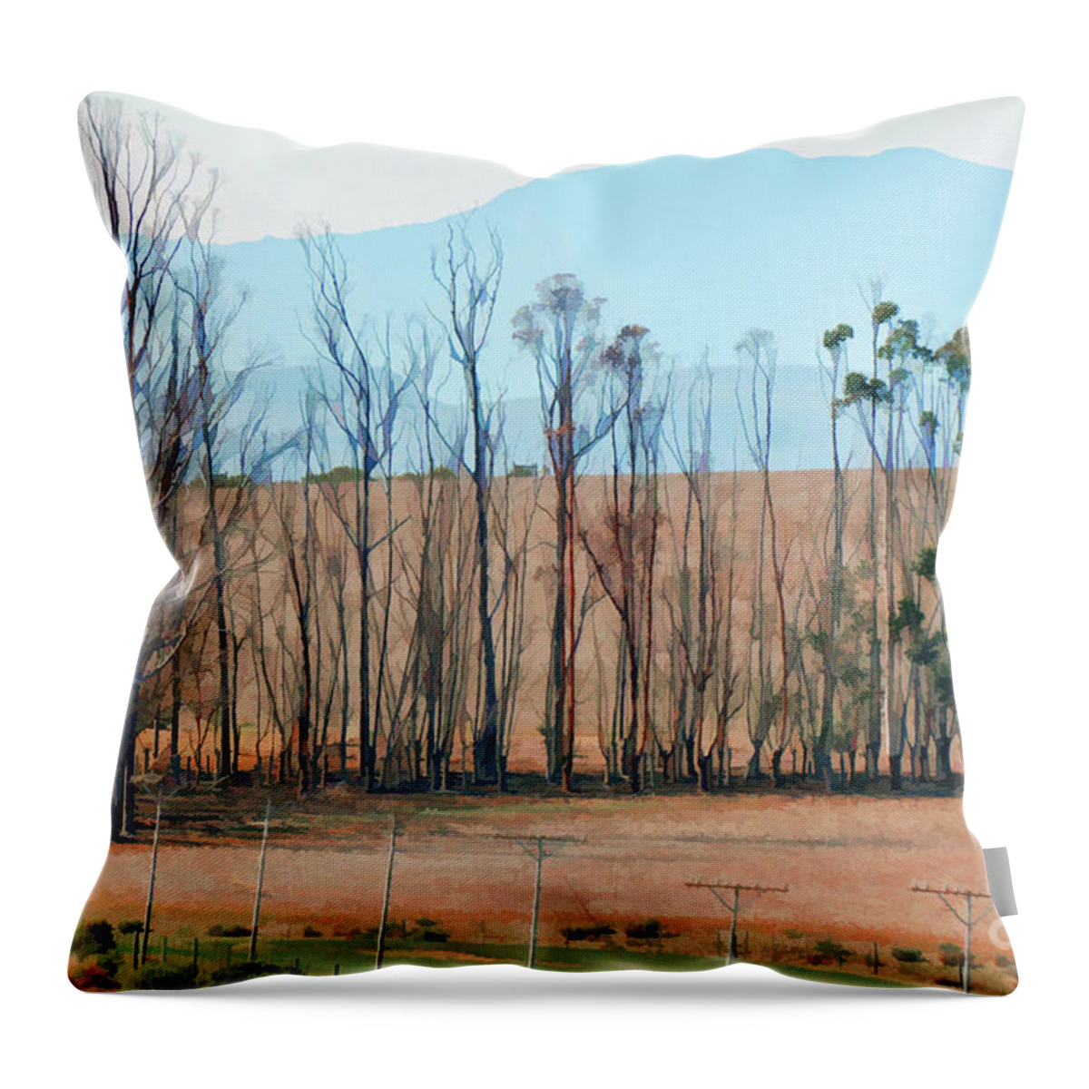 South Africa Throw Pillow featuring the photograph Drought-stricken South African farmlands - 3 of 3 by Josephine Cohn
