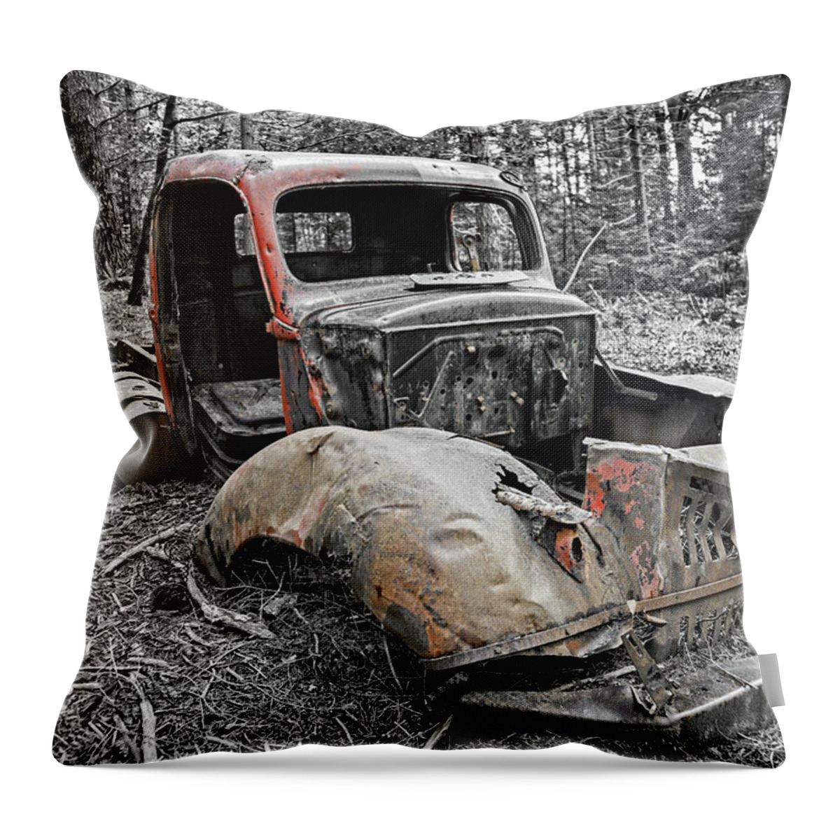 Truck Throw Pillow featuring the photograph Drove It Into The Ground by Mark Alder