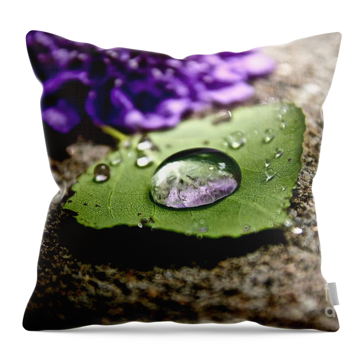 Leafe Throw Pillow featuring the photograph Drops #1 by Elisabeth Derichs