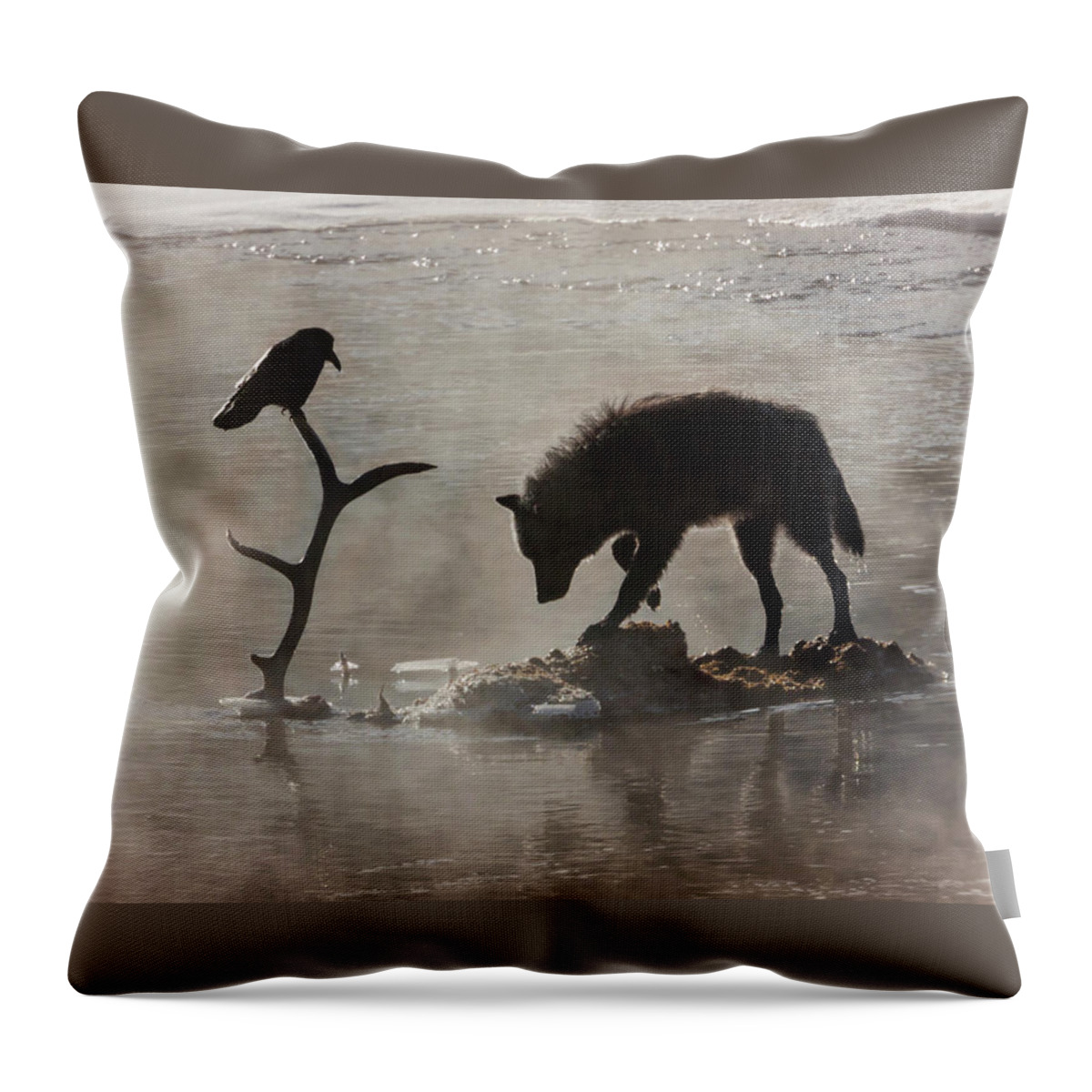 Mark Miller Photos Throw Pillow featuring the photograph Druid Wolf and Raven Silhouette by Mark Miller