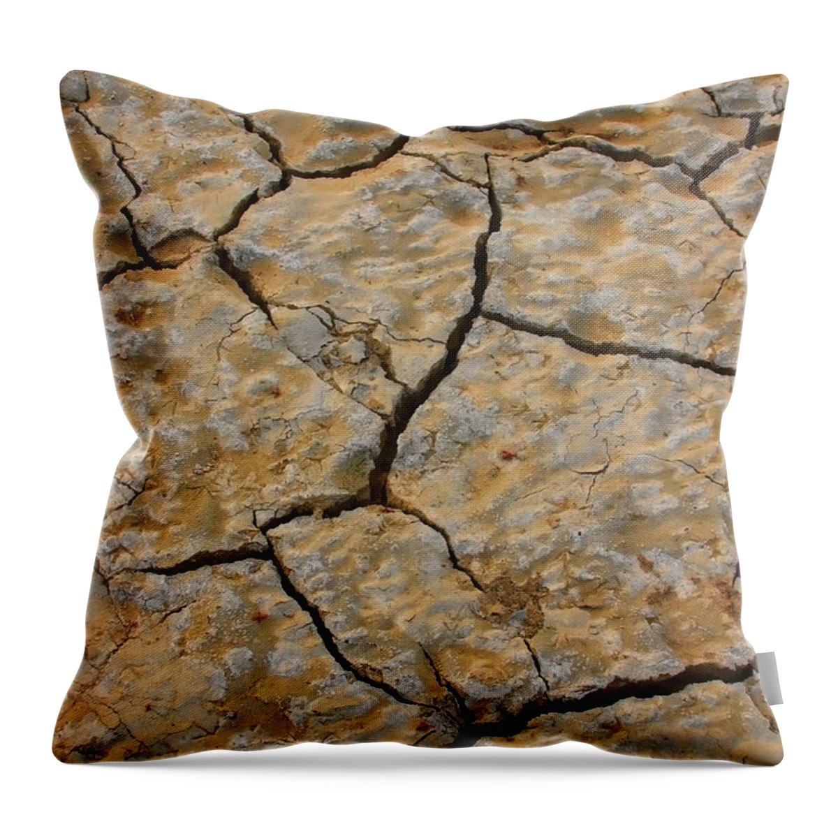 Cracks Throw Pillow featuring the photograph Dry Cracked Lake Bed by James BO Insogna
