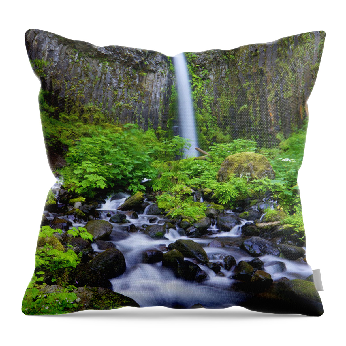 Waterfall Throw Pillow featuring the photograph Dry Creek Falls by Bruce Block