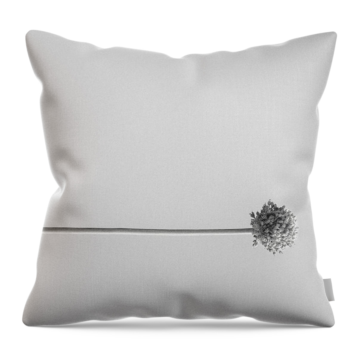 Black And White Flower Throw Pillow featuring the photograph Dry Flower - Black And White Art Photo by Modern Abstract