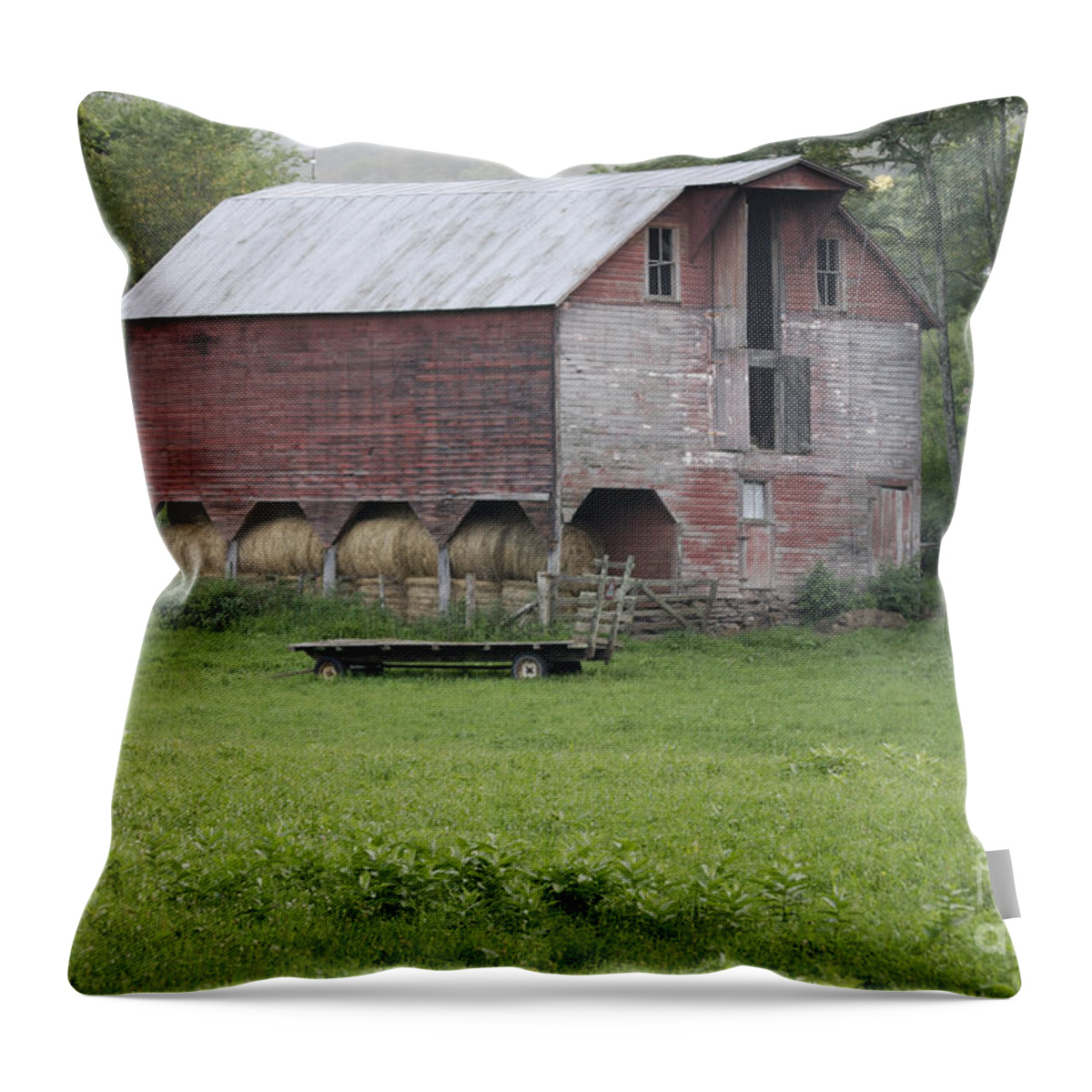 Barn Throw Pillow featuring the photograph Dry Fork Red by Randy Bodkins
