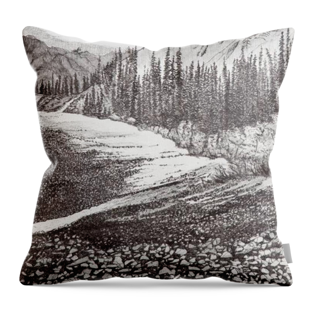 Pen And Ink Throw Pillow featuring the drawing Dry Riverbed by Betsy Carlson Cross