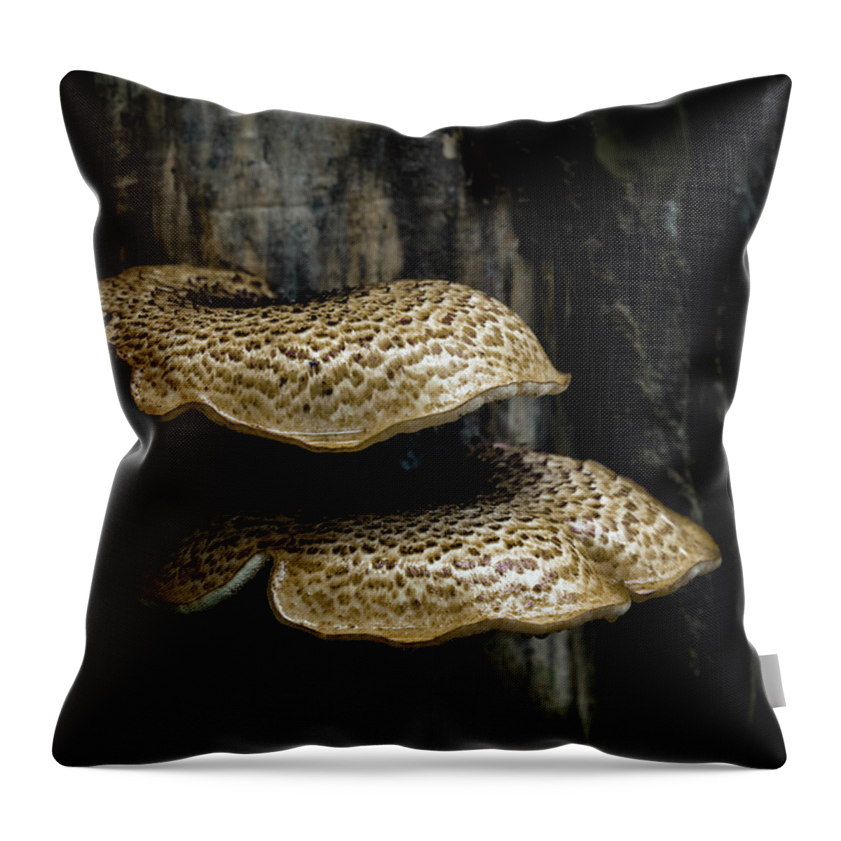 Dryad's Saddle Throw Pillow featuring the photograph Dryads Saddle Fungi by Tom Mc Nemar