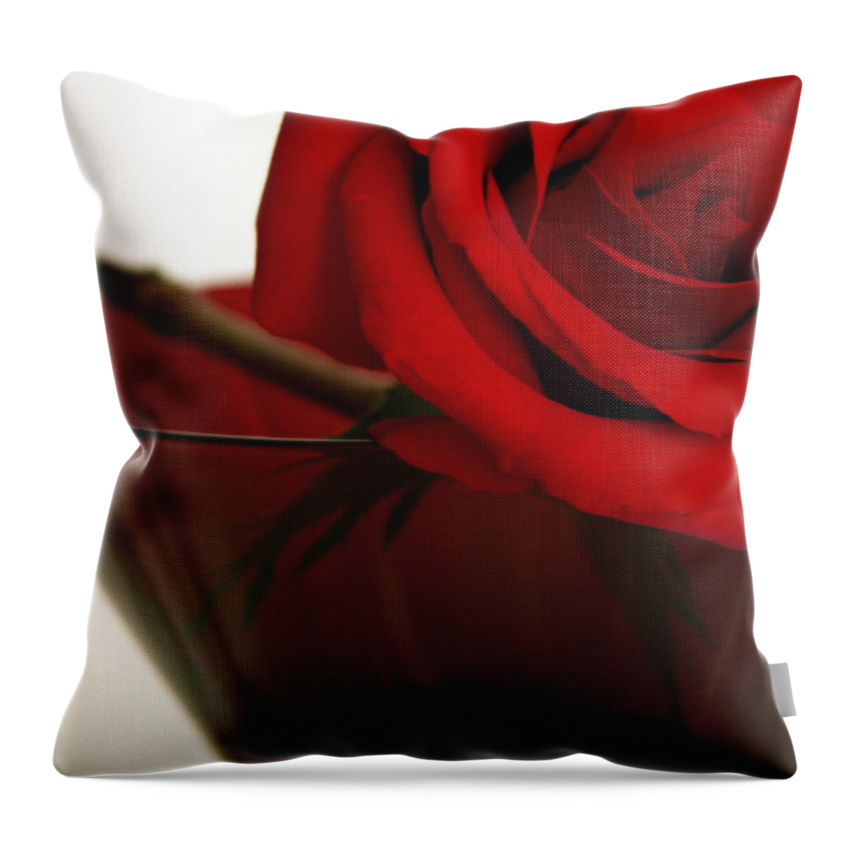 Rose Throw Pillow featuring the photograph Dual reds by Thomas Pipia