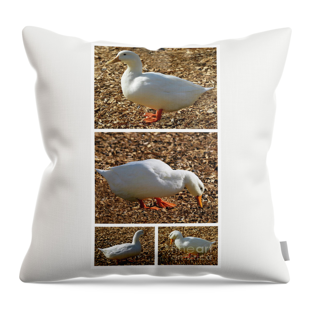 Masartstudio Throw Pillow featuring the mixed media Duck Collage Mixed Media A51517 by Mas Art Studio