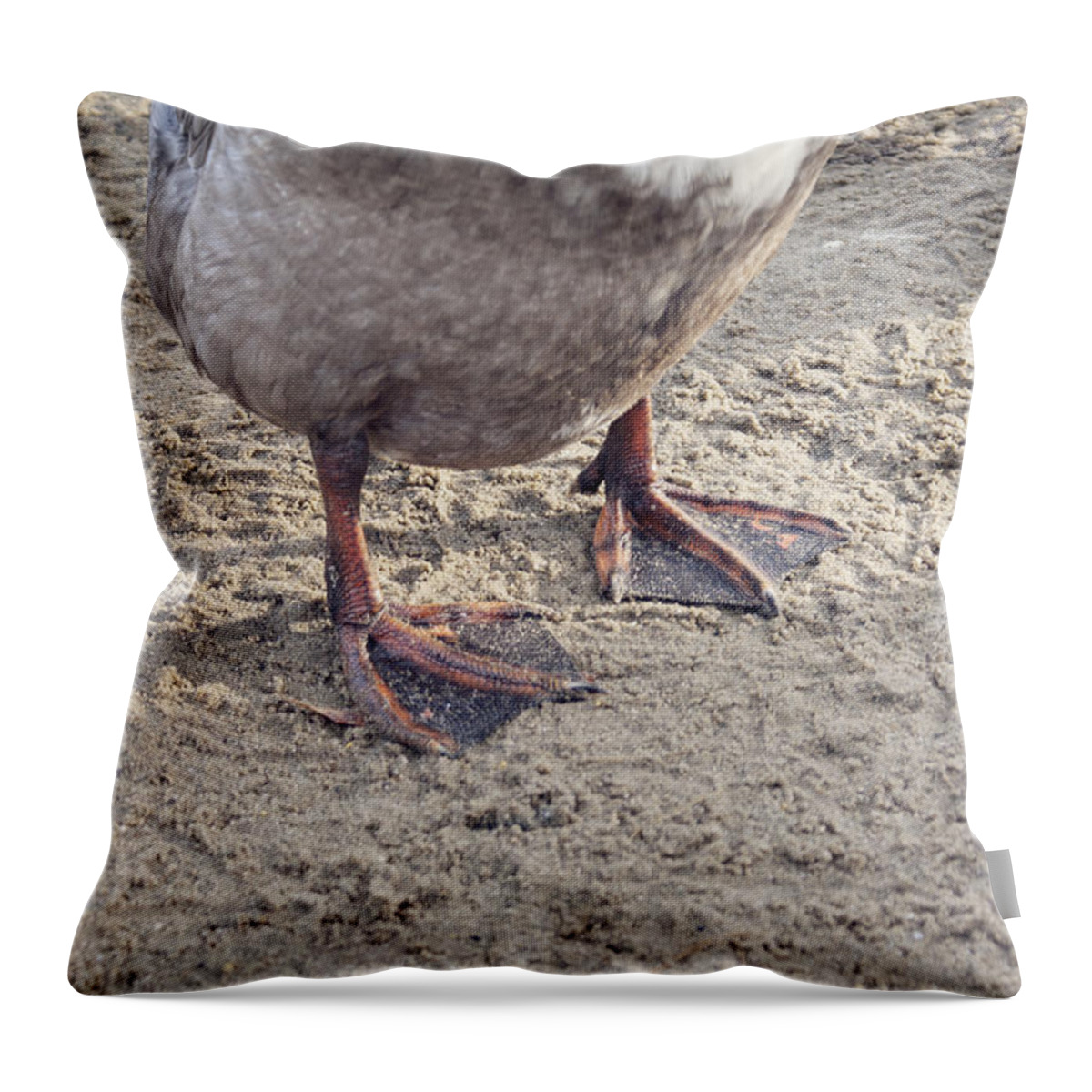 Duck Out Of Water Throw Pillow featuring the photograph Duck feet in the sand by Cindy Garber Iverson