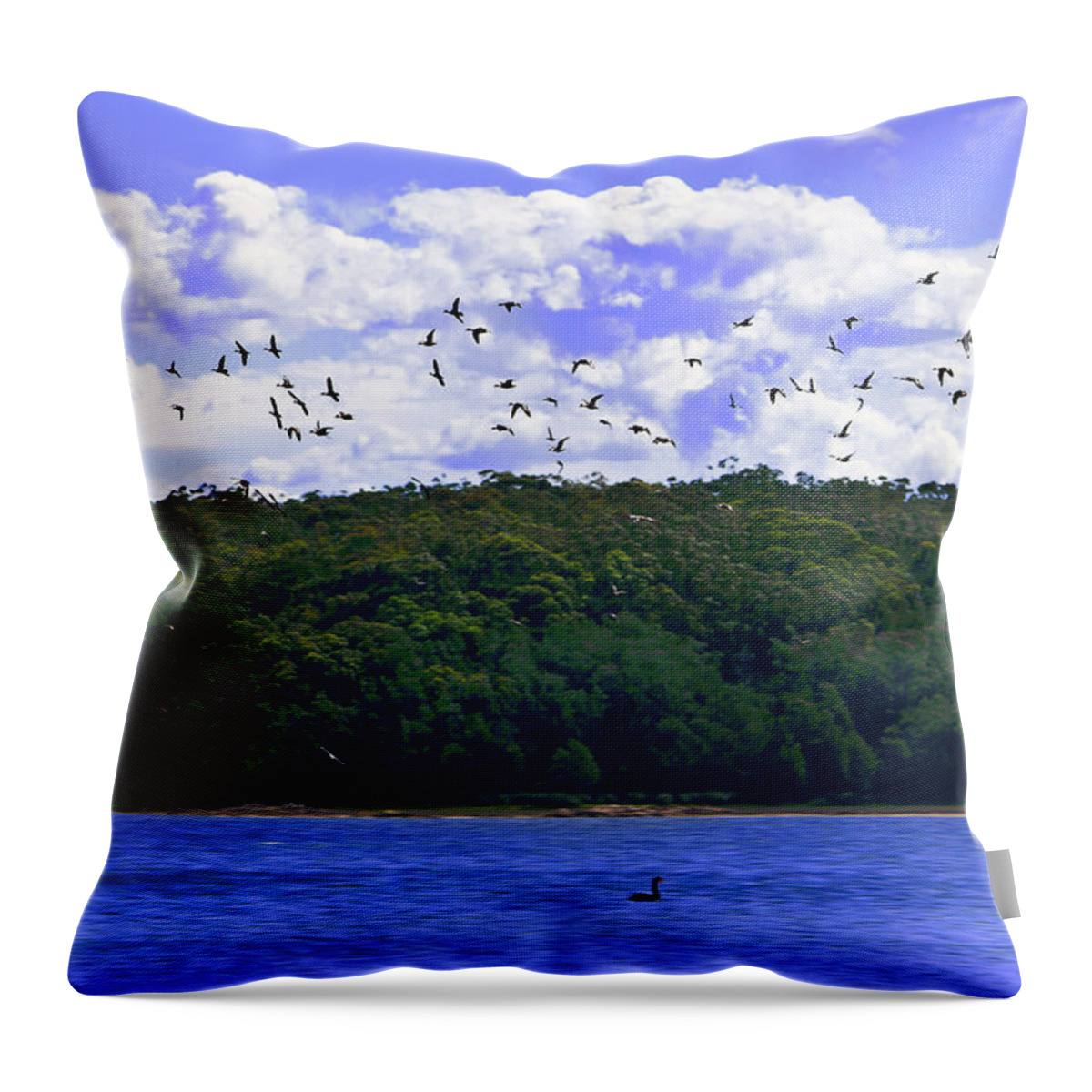 Duck Throw Pillow featuring the photograph Duck Flying Over The Lake by Miroslava Jurcik