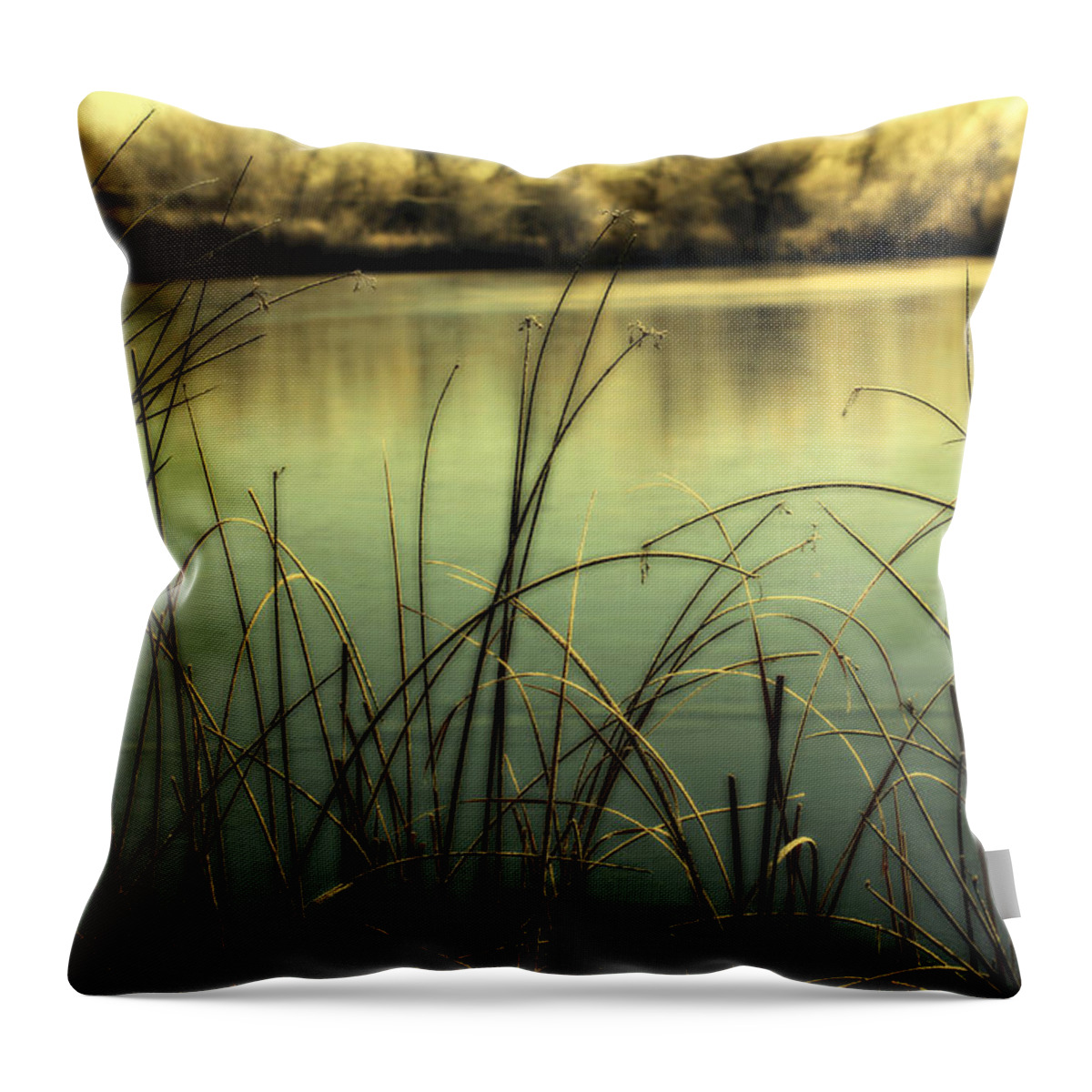 Hoar Frost Throw Pillow featuring the photograph Early Morning Duck Hunting by Marilyn Hunt