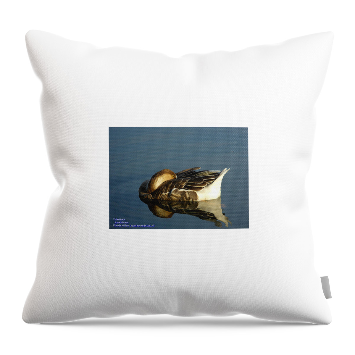  Throw Pillow featuring the photograph Duck in the morning by PhotoManix