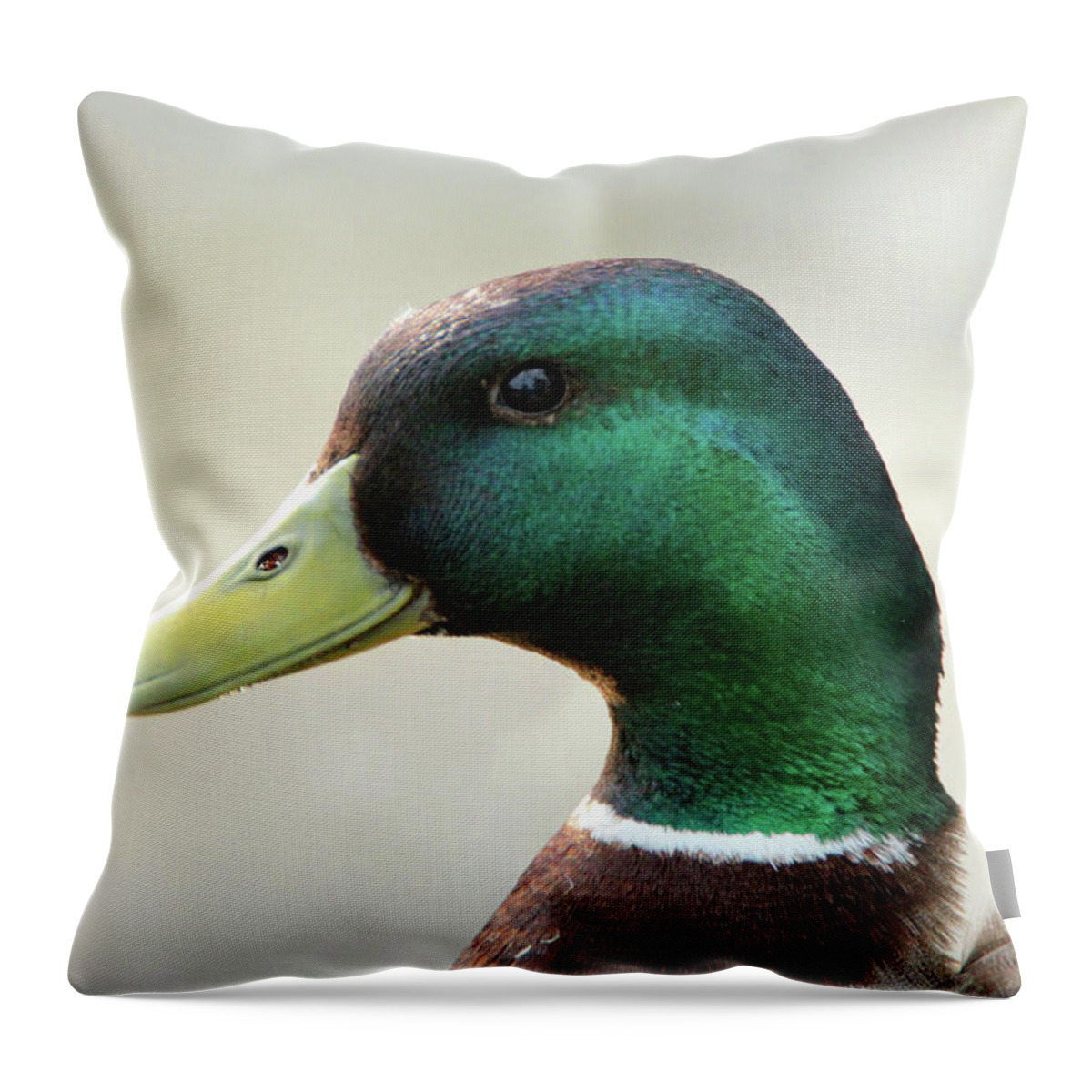 Wildlife Throw Pillow featuring the photograph Duck Portrait by David Stasiak