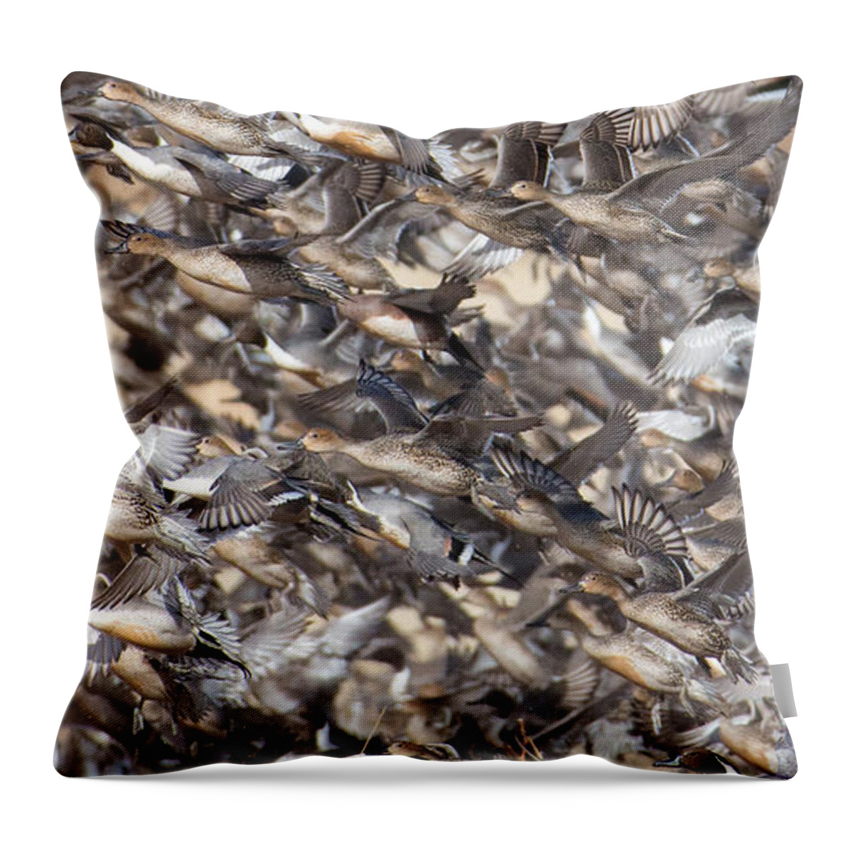 Duck Throw Pillow featuring the photograph Delightful Duck Pandemonium by Lisa Manifold
