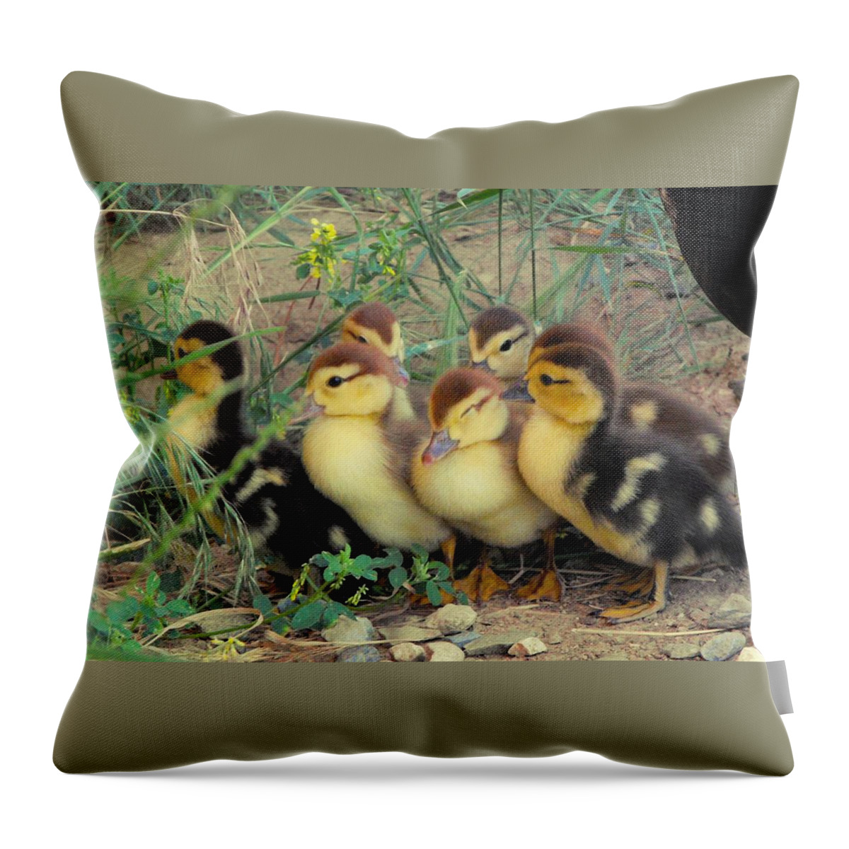 Nature Throw Pillow featuring the photograph Ducklings by Kae Cheatham