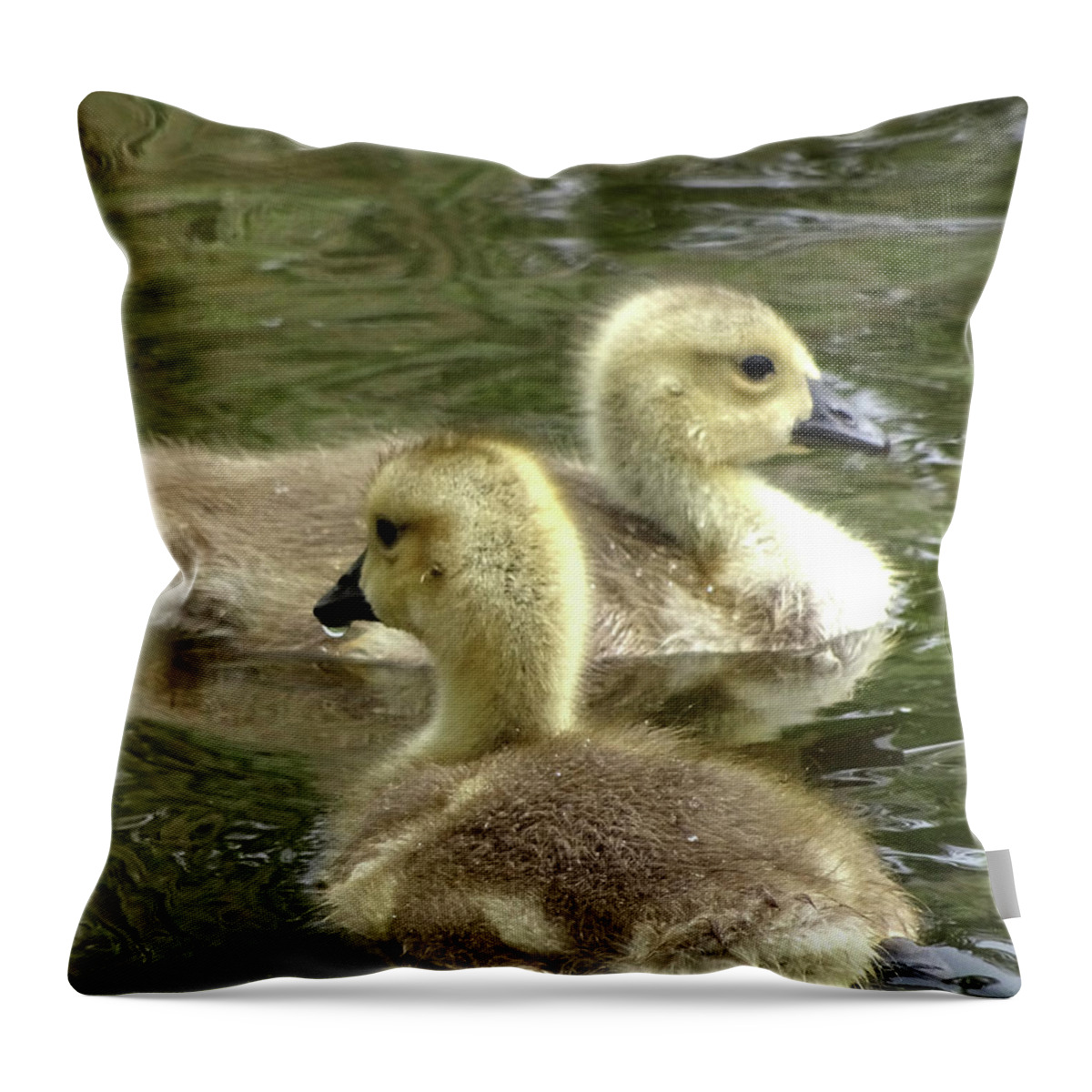 Fowl Throw Pillow featuring the photograph Ducklings by Mikki Cucuzzo