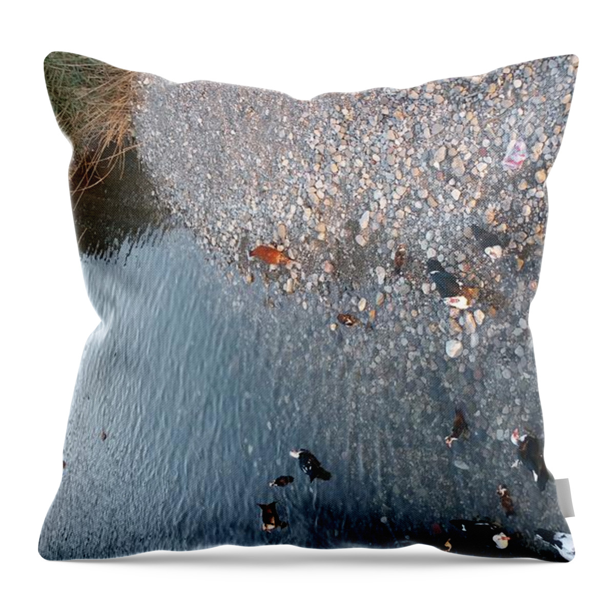  Throw Pillow featuring the photograph Ducks in a pond by Zachary Lowery