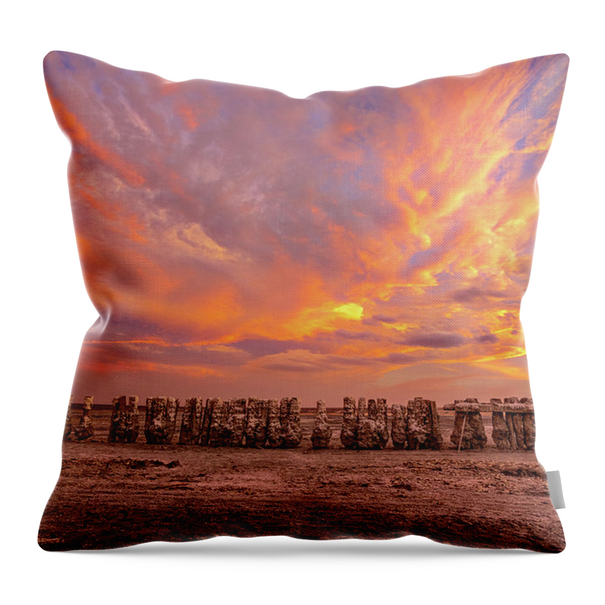 Abandoned Throw Pillow featuring the photograph Ducks in a Row by Peter Tellone