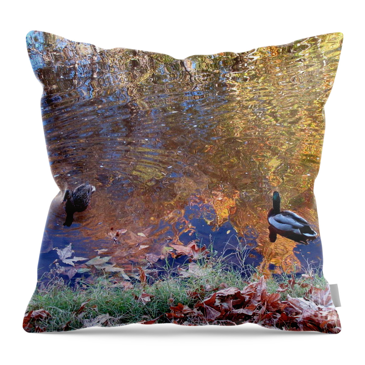 Autumn Throw Pillow featuring the photograph Ducks in Oak Creek Autumn Reflections by Mars Besso