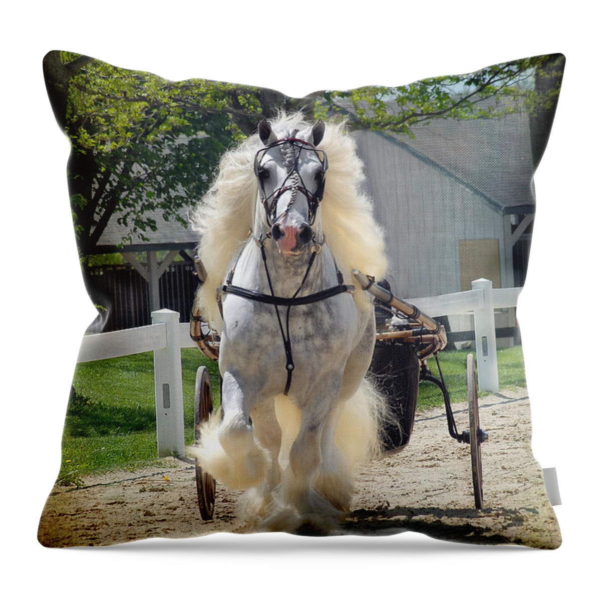 Horses Throw Pillow featuring the photograph Dunbrody Drive by Fran J Scott