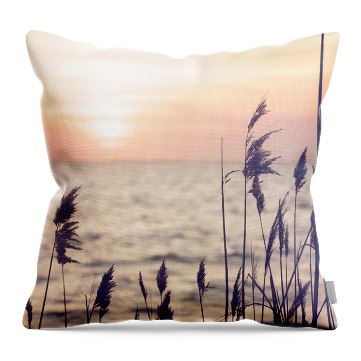 Dune Grass Throw Pillow featuring the photograph Dune Grass in the Sunset by Debra Fedchin