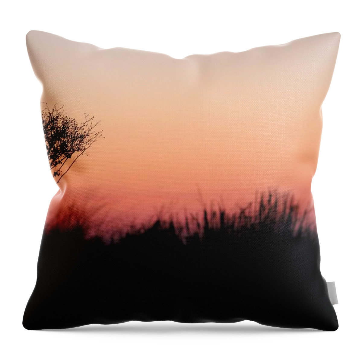 Sand Throw Pillow featuring the photograph Dune Grass Sunrise by Robert Banach