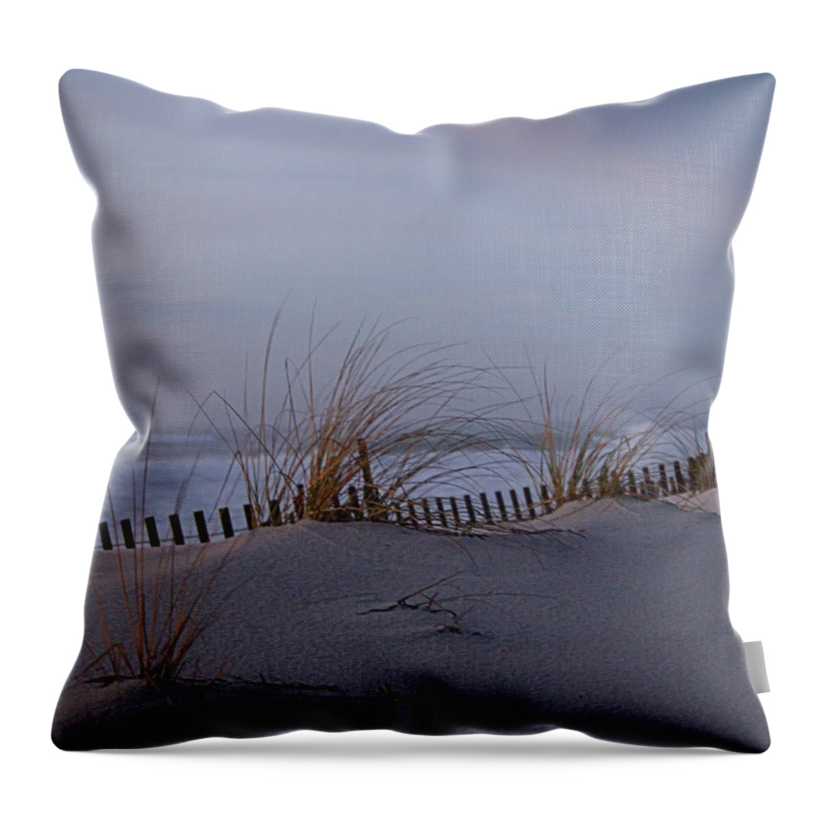 Fog Throw Pillow featuring the photograph Dune View 2 by Newwwman