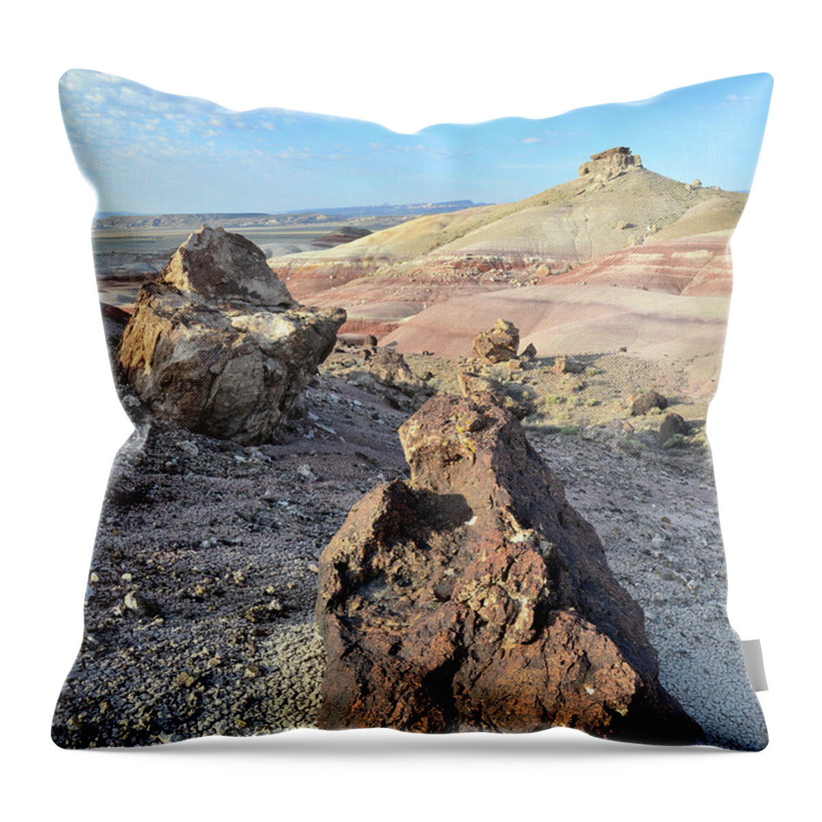 Capitol Reef National Park Throw Pillow featuring the photograph Dunes along Cathedral Valley Drive by Ray Mathis