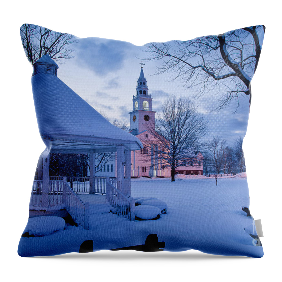 Antique Throw Pillow featuring the photograph Dusk in Templeton by Susan Cole Kelly