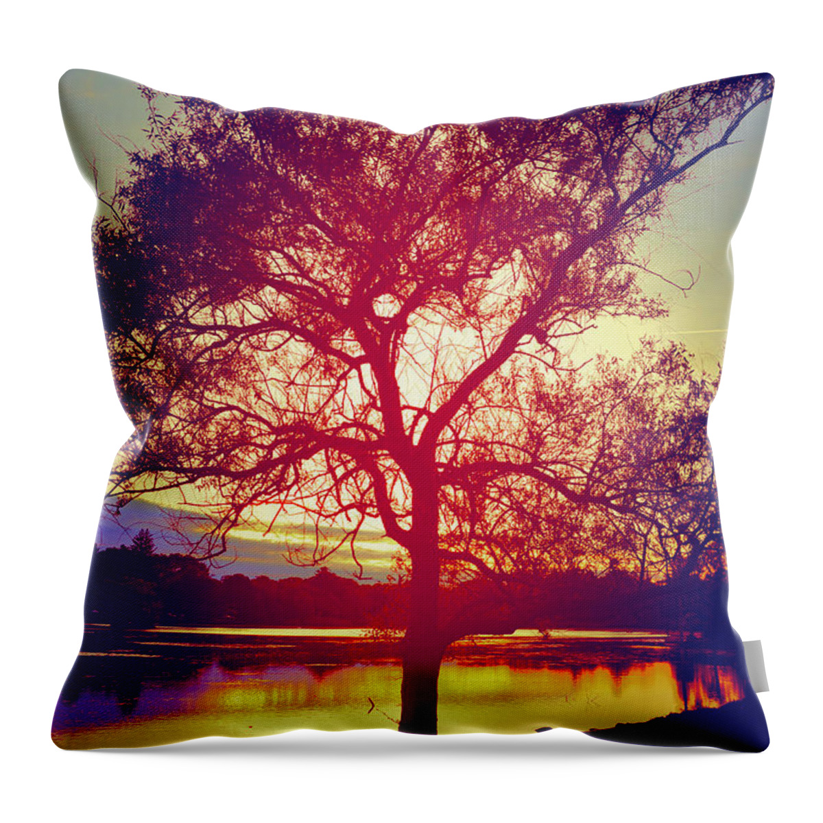 Tree Throw Pillow featuring the photograph Dusk by Kate Arsenault 