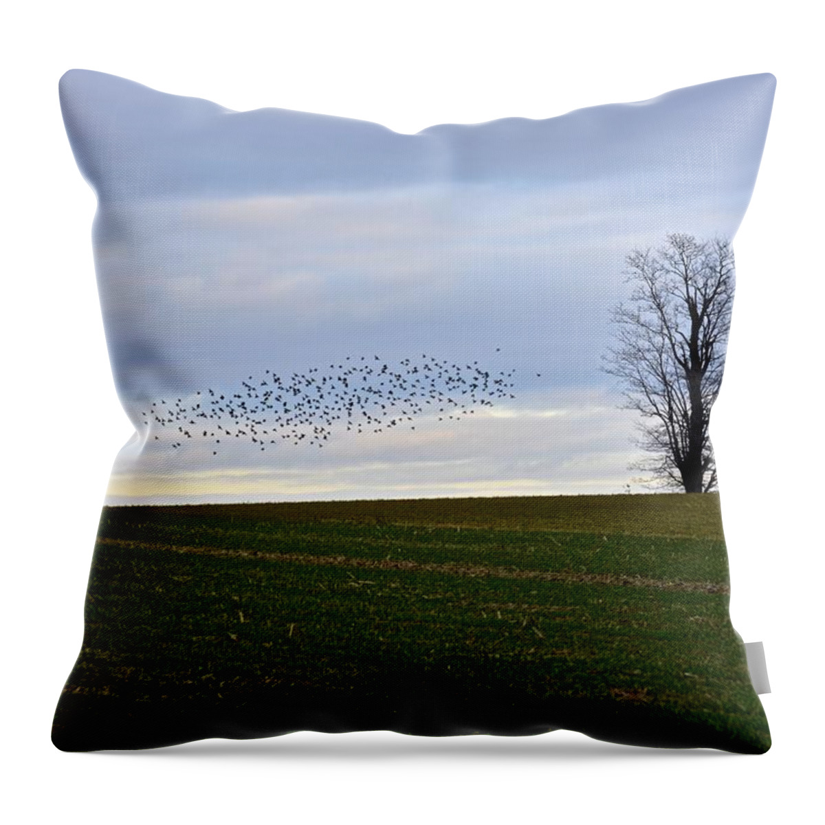 Farmland Throw Pillow featuring the photograph Dusk Tree and Birds by Tana Reiff