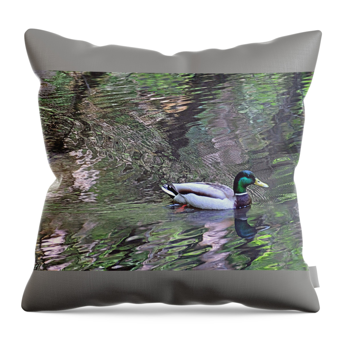 Mallard Throw Pillow featuring the photograph Duck Patterns by Suzy Piatt