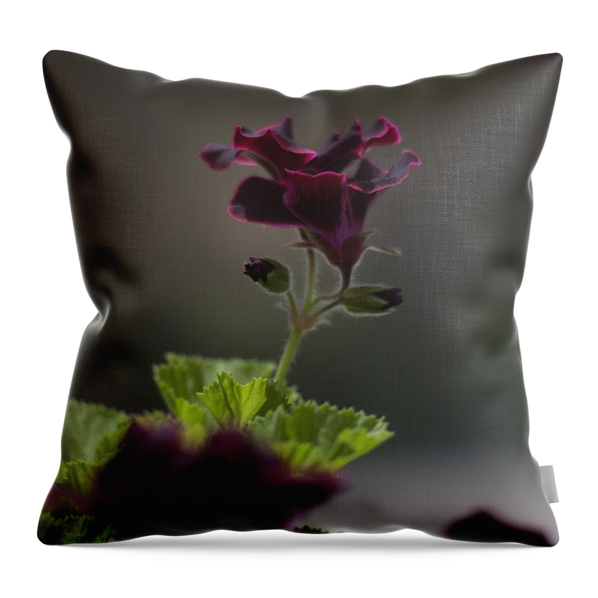 Spring Throw Pillow featuring the photograph Dying Embers by Morris McClung