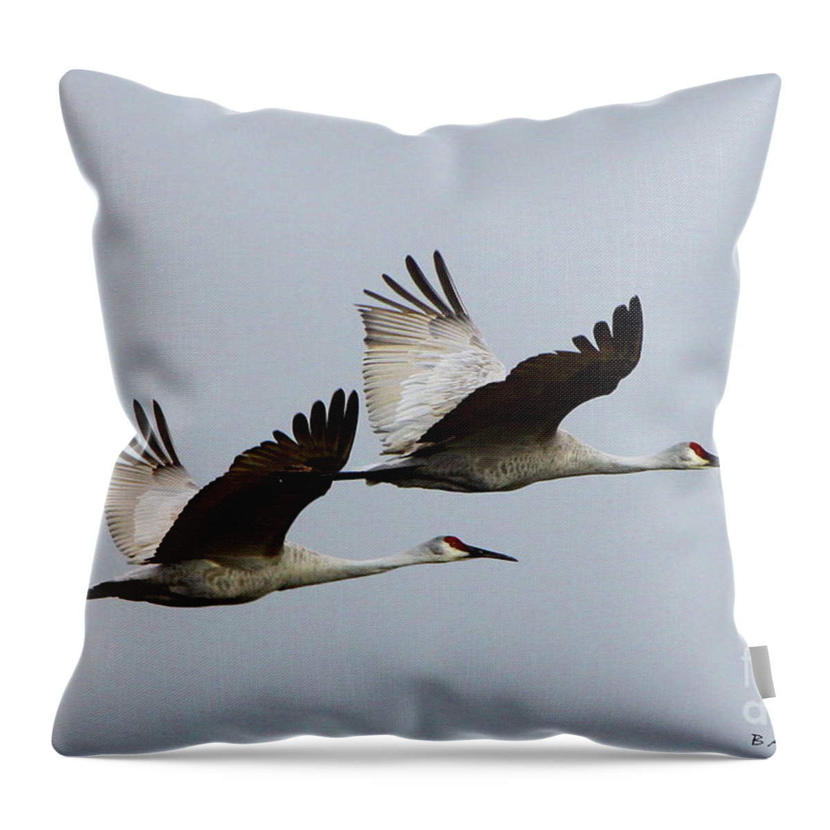 Sandhill Crane Throw Pillow featuring the photograph Dynamic Duo by Barbara Bowen
