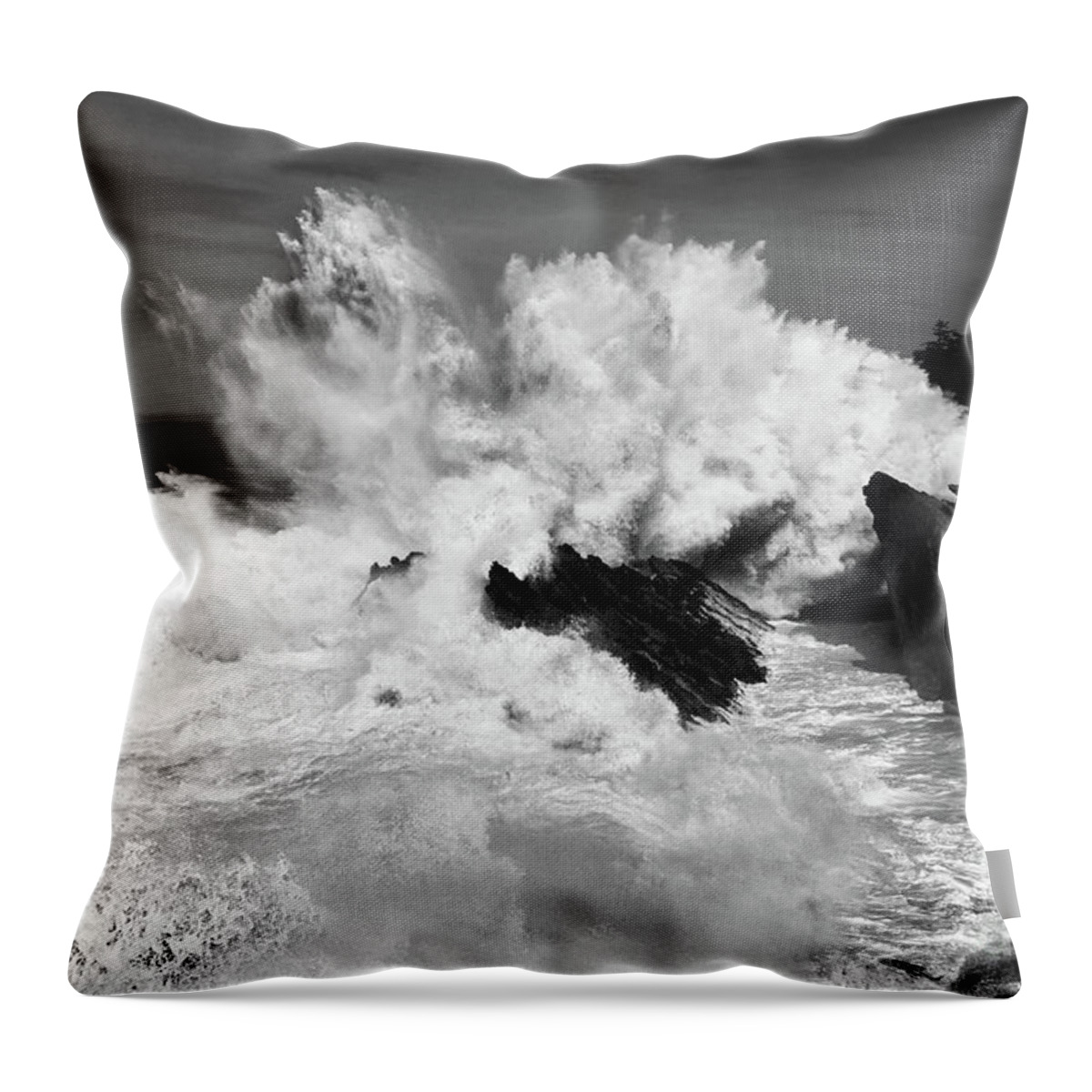 Oregon Throw Pillow featuring the photograph Dynamic Nature by Bob Christopher