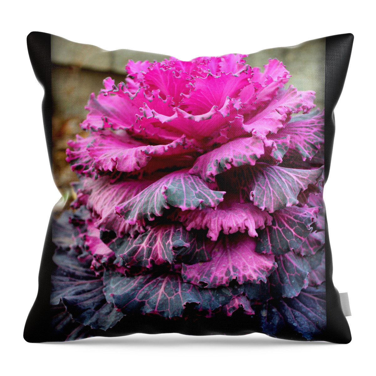 Dynasty Series Flowers Throw Pillow featuring the photograph Dynasty Red Flowering Cabbage by Kathy White