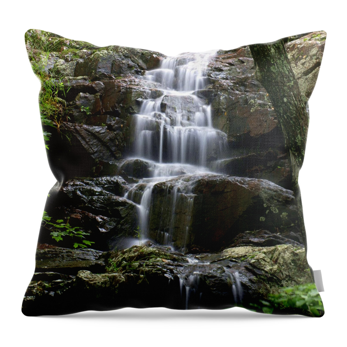 Waterfalls Throw Pillow featuring the photograph E Falls by Marty Koch