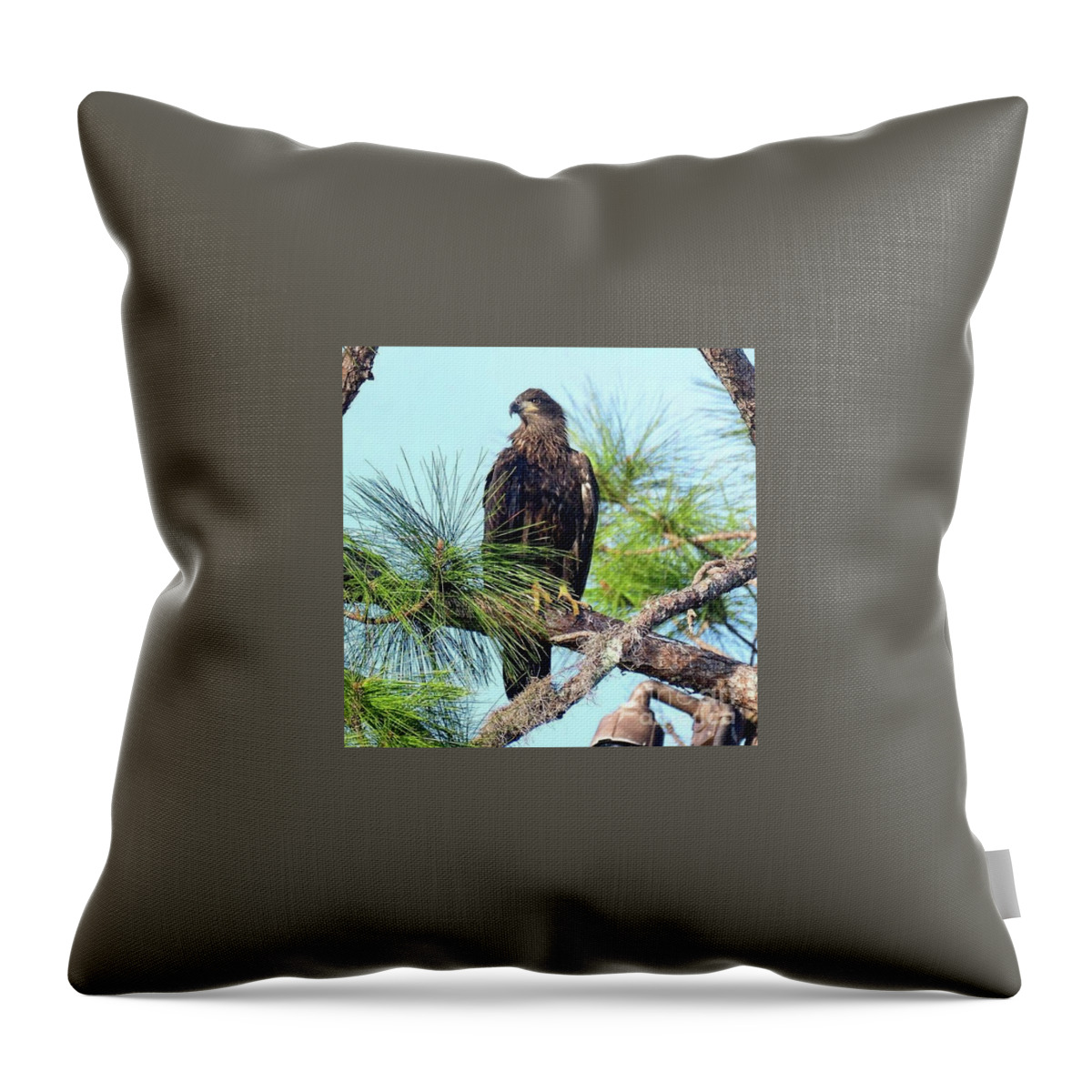 Birds Throw Pillow featuring the photograph E9 on the branch by Liz Grindstaff