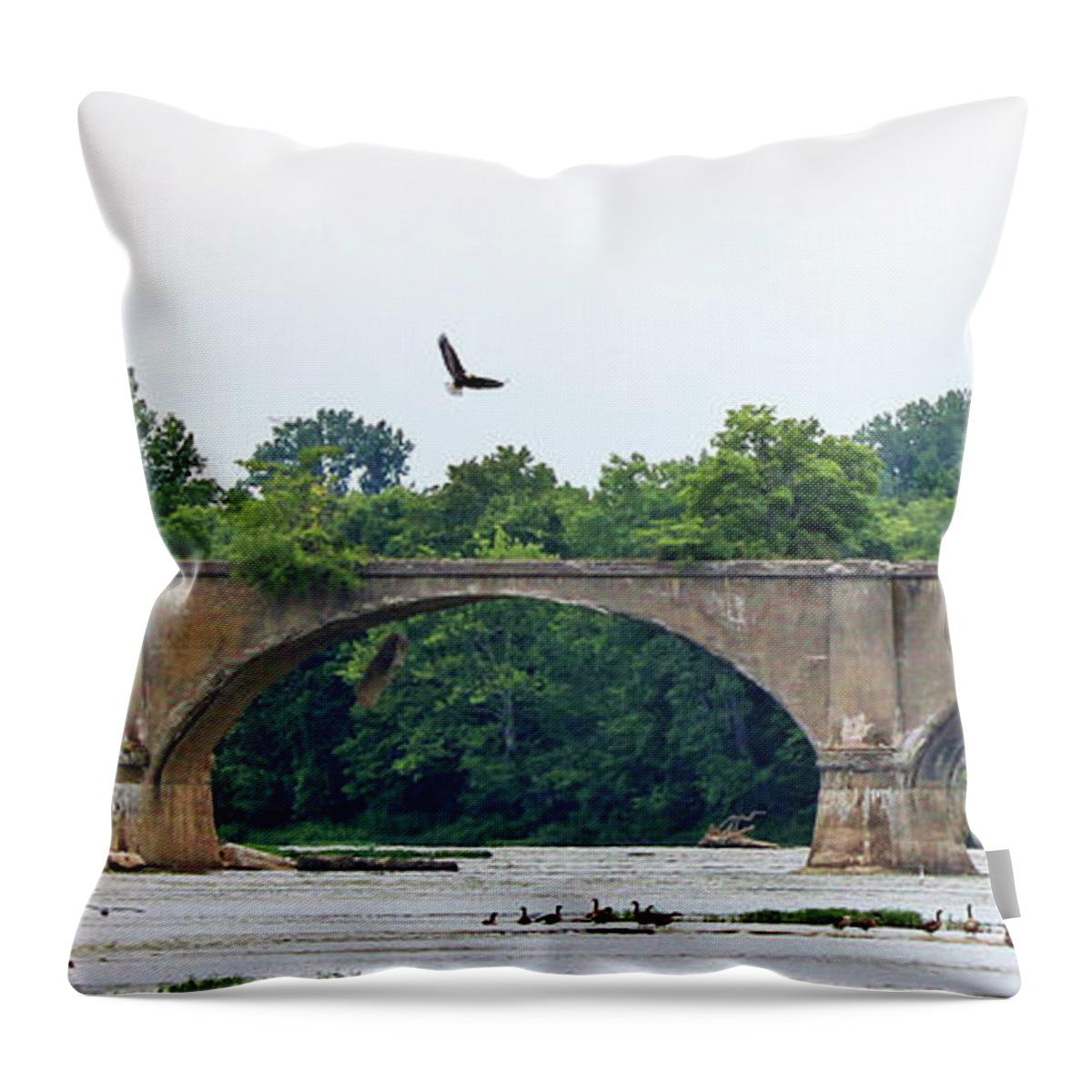 Bald Eagle Throw Pillow featuring the photograph Eagle Above Interurban Bridge 2186 by Jack Schultz