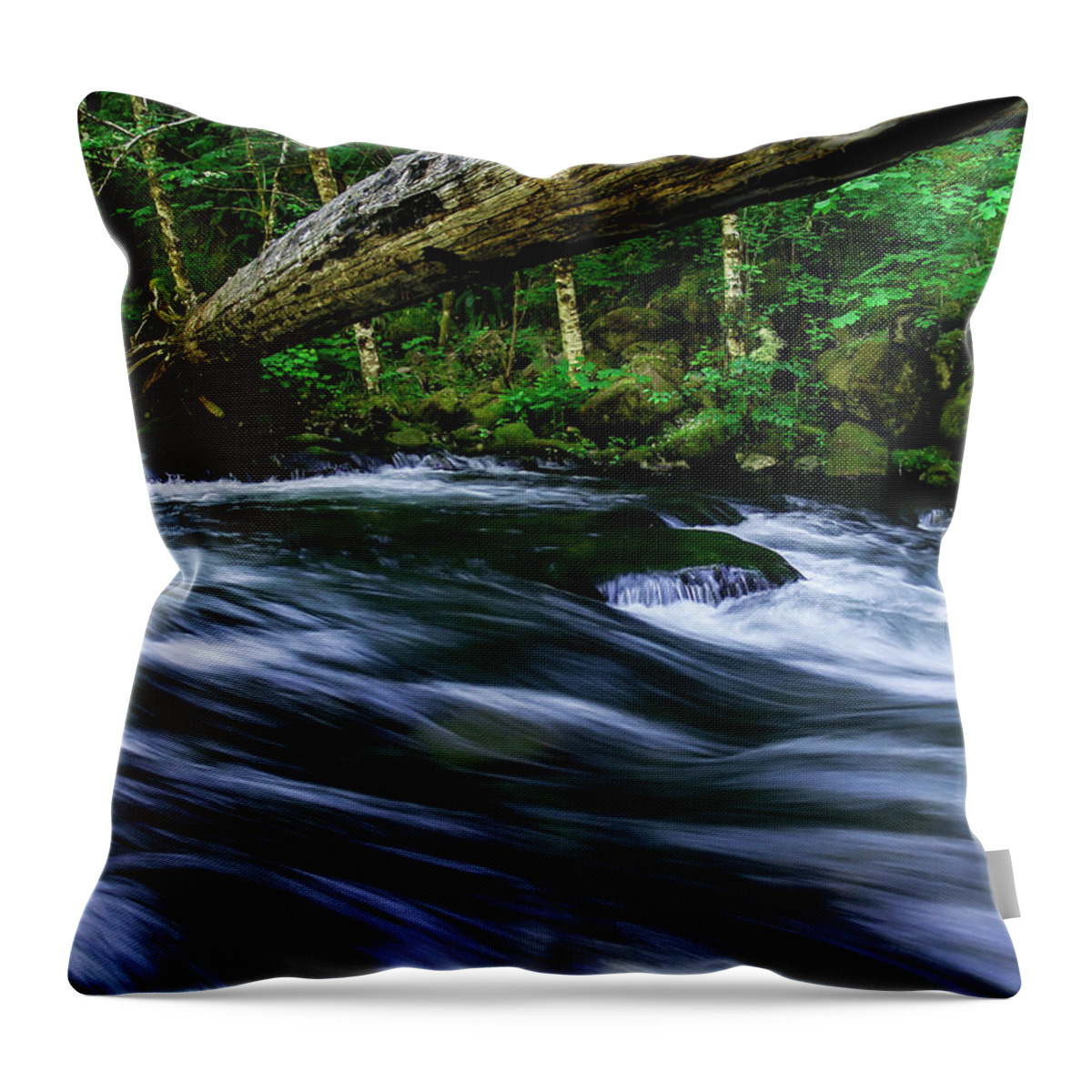 Landscapes Throw Pillow featuring the photograph Eagle Creek Rapids by Steven Clark
