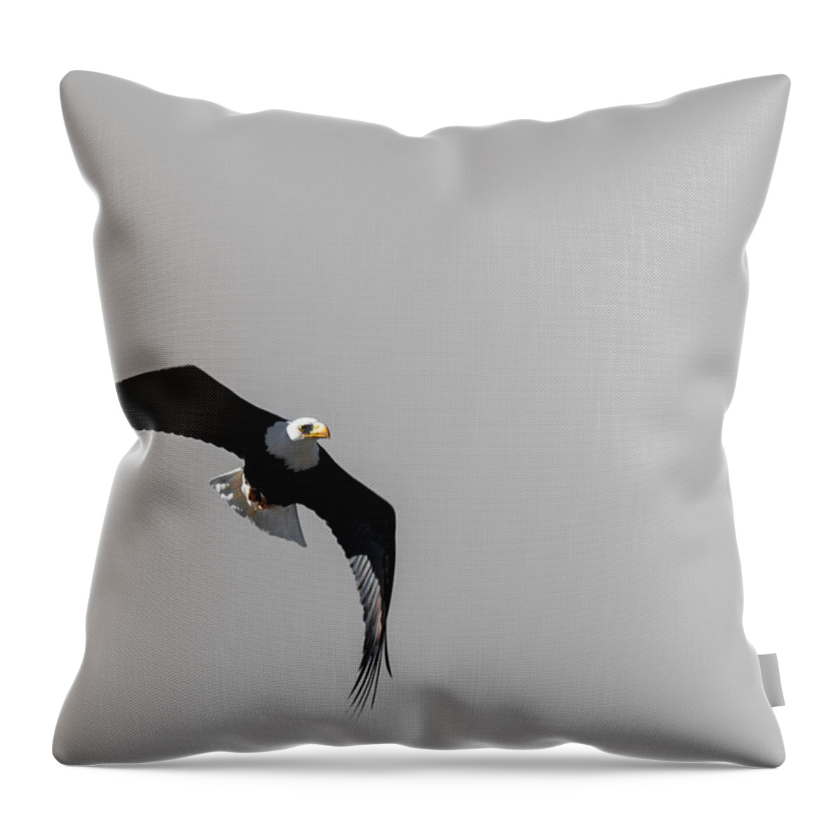 Bald Throw Pillow featuring the photograph Bald Eagle Flight #2 by Britt Runyon