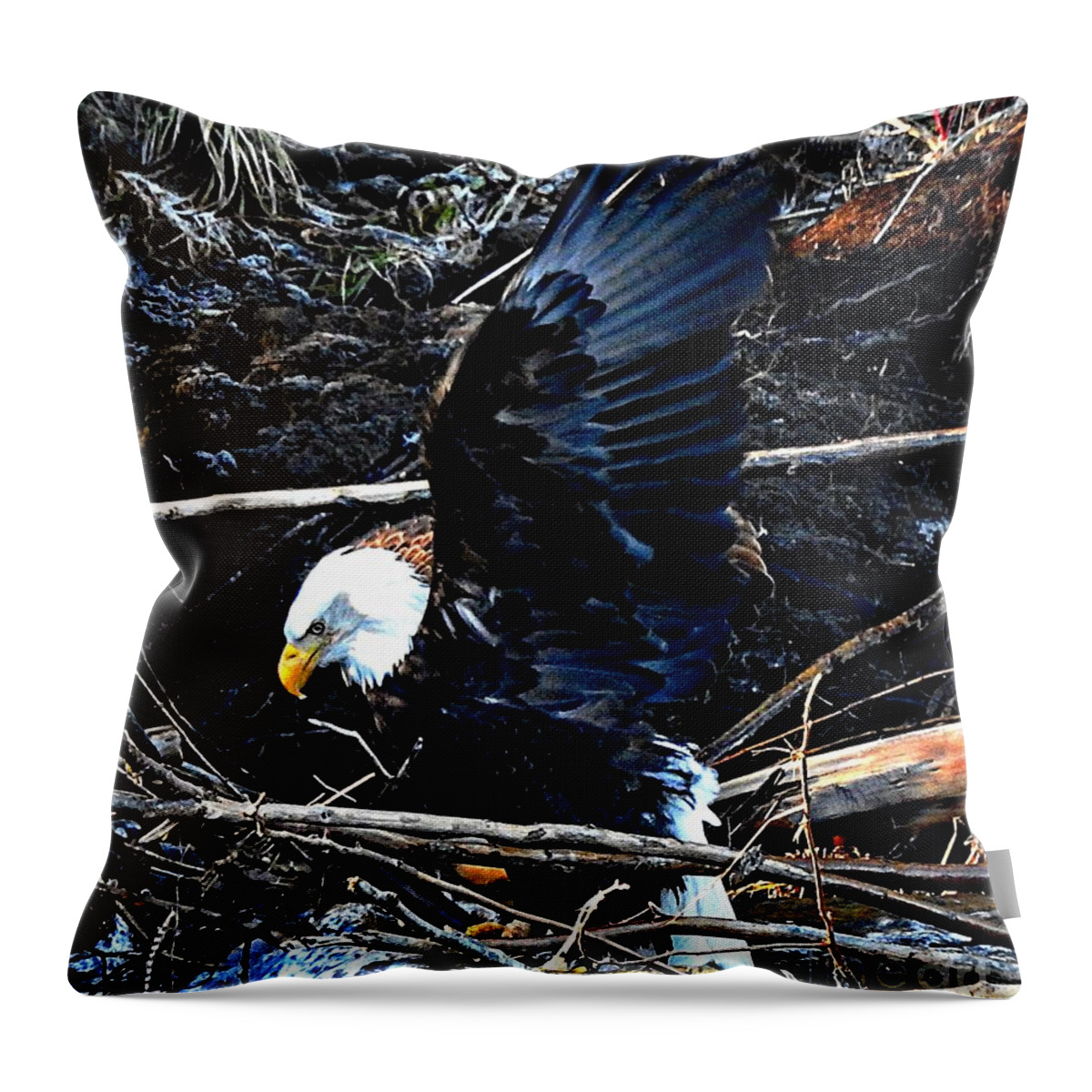 Feed Throw Pillow featuring the photograph Eagle getting ready to feed by Sandra Peery