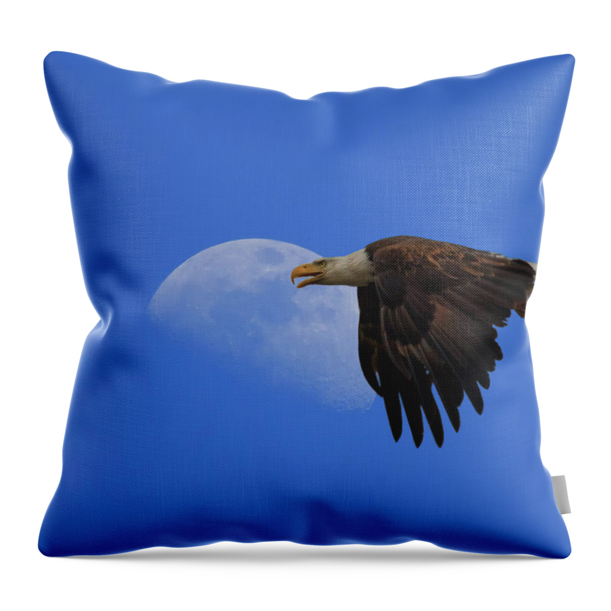Bald Eagle Throw Pillow featuring the photograph Eagle Moon by Beth Sargent