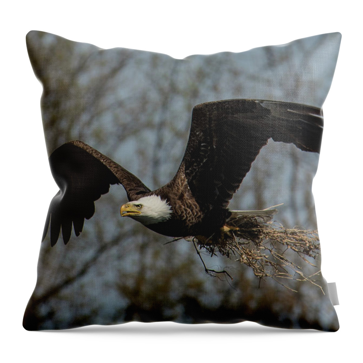 America Throw Pillow featuring the photograph Eagle Nest Material by Michael Hall