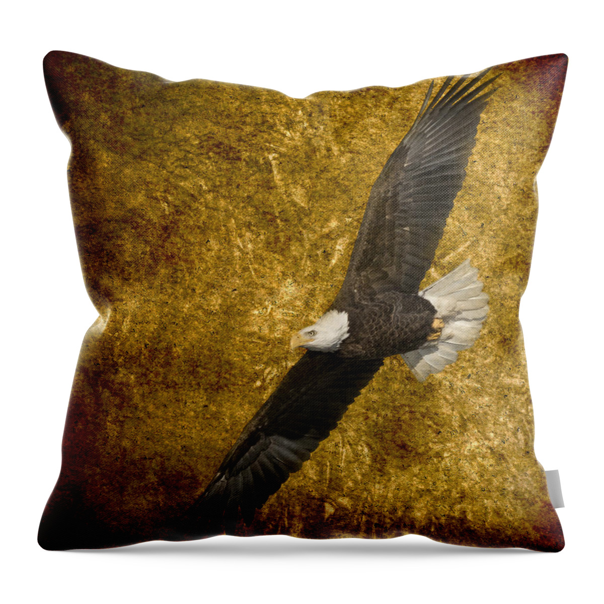 American Bald Eagle Throw Pillow featuring the photograph Eagle On Fire 2016 by Thomas Young