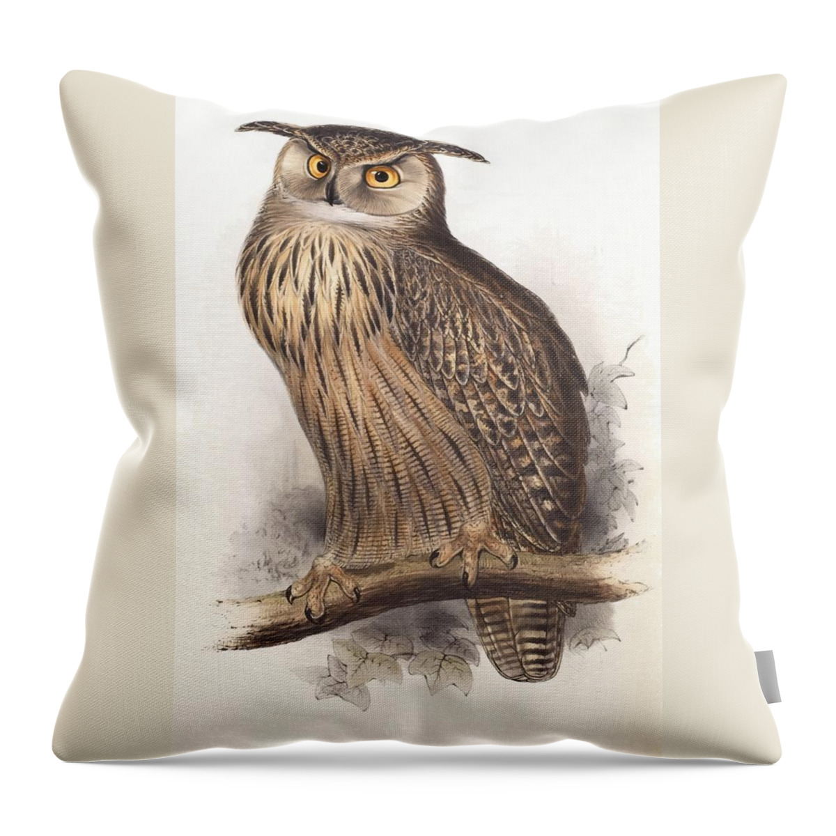 Edward Lear Throw Pillow featuring the painting Eagle Owl by Edward Lear