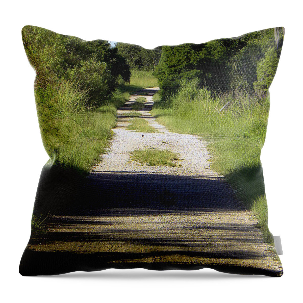 I Took This Landscape Photo Of The Eagle Roost Trail At The Circle B Bar Reserve On July 30 Throw Pillow featuring the photograph Eagle Roost Trail by Christopher Mercer