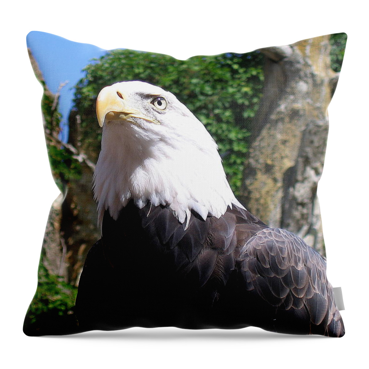 American Throw Pillow featuring the photograph Eagle The Proud by John Olson