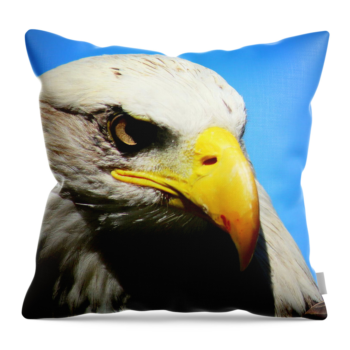 American Bald Eagle Throw Pillow featuring the photograph Eagle, The Stern by John Olson