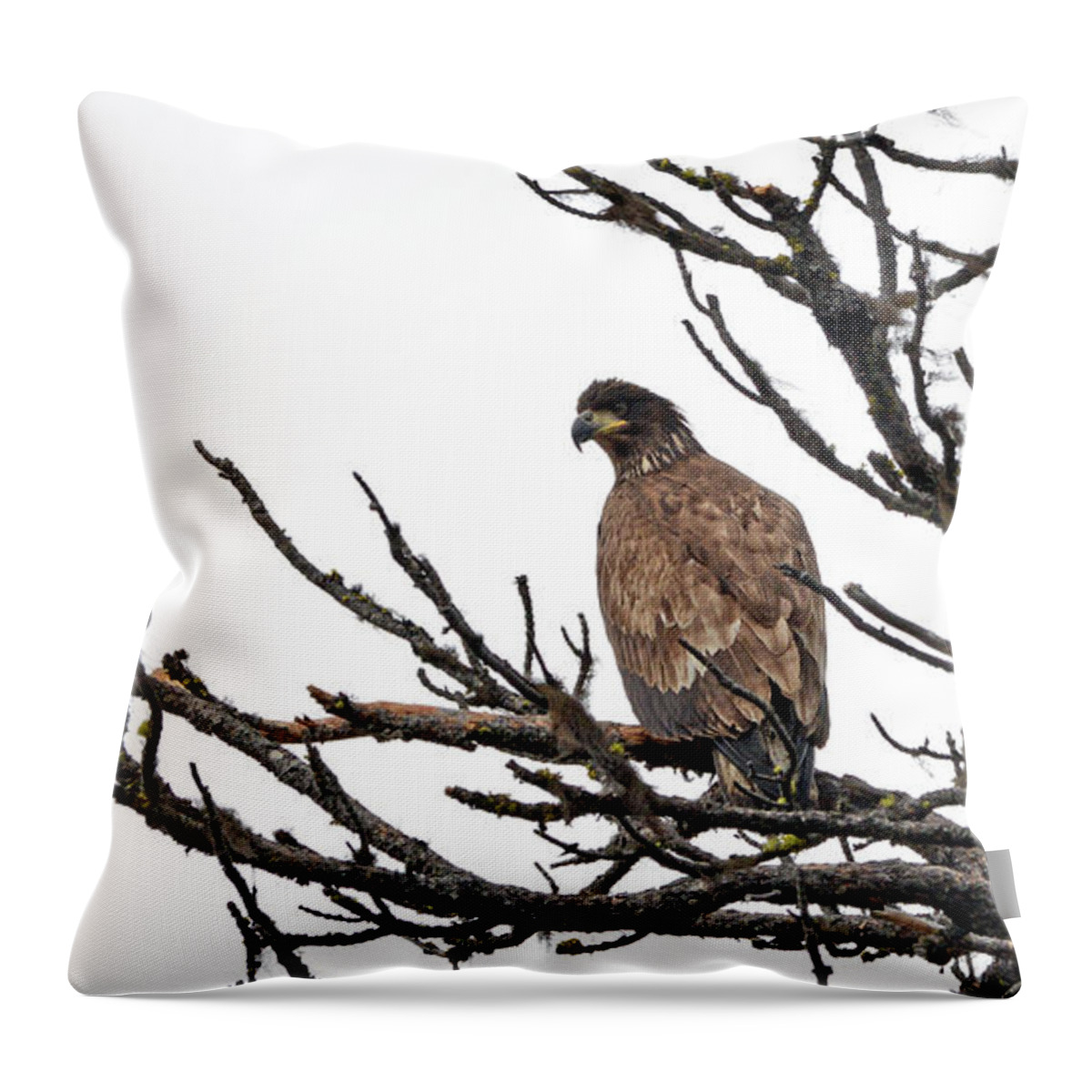 Eagle Throw Pillow featuring the photograph Eagle Watch by Whispering Peaks Photography